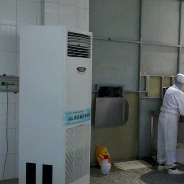 漳州食品正负离子空气杀菌器